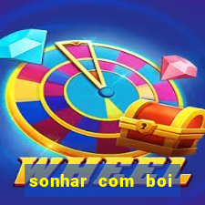 sonhar com boi branco jogo do bicho